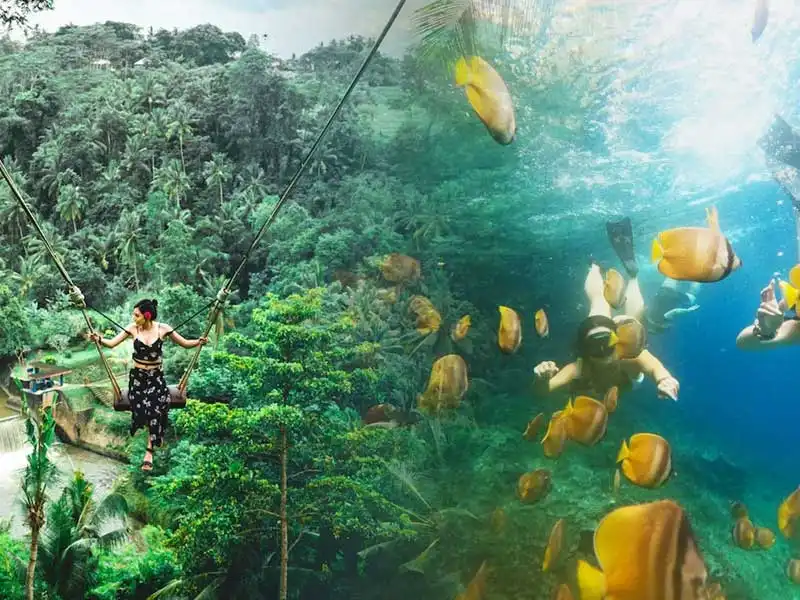 Bali Snorkeling with ubud swing