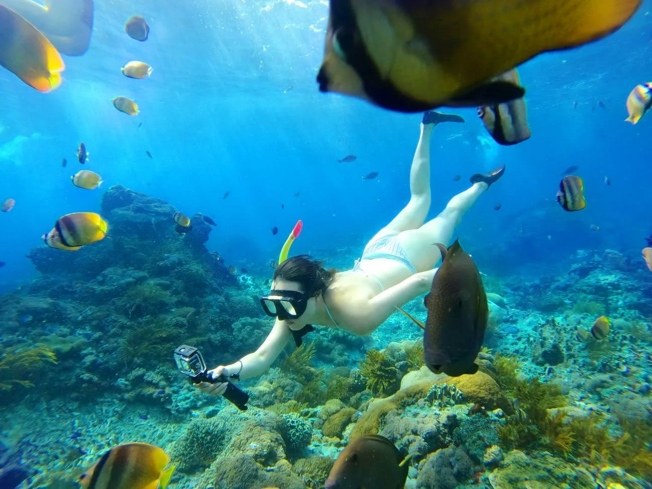 Nusa penida snorkeling