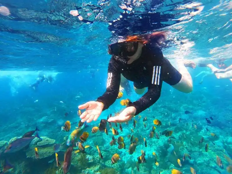 blue lagoon snorkeling
