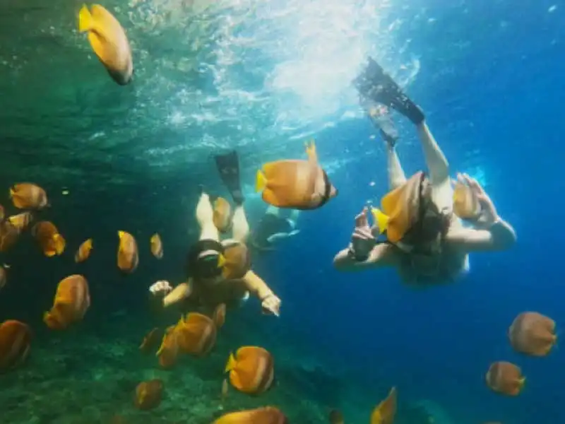 nusa penida snorkeling